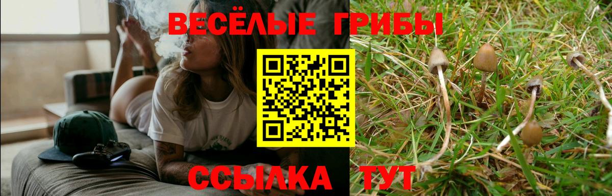 Красный Сулин  Галлюциногенные грибы Magic Shrooms  хочу наркоту  Вход с VPN  Галлюциногенные грибы ЛСД 